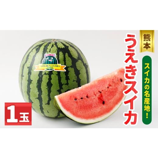 ふるさと納税 スイカ 熊本県 熊本市 R8年熊本地震復興支援 熊本うえきスイカ 1玉 ( 約10kg ) スイカ すいか 西瓜 大玉スイカ 大玉 果物 くだもの フルーツ …