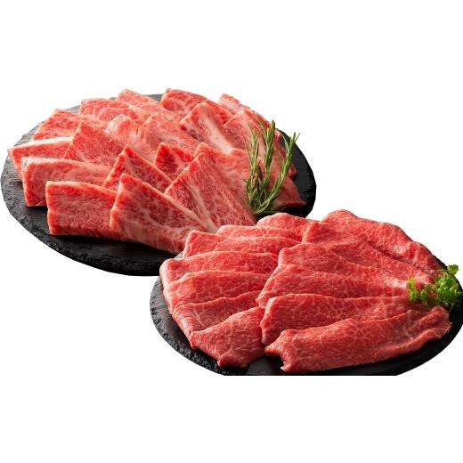 ふるさと納税 牛肉 セット 熊本県 熊本市 R8年熊本地震復興支援 くまもと黒毛和牛 藤彩牛 バラ ( カルビ ) とモモの2種セット お肉 肉 ニク にく 牛肉 牛 精…