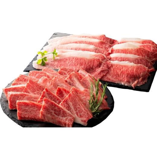 ふるさと納税 牛肉 セット 熊本県 熊本市 R8年熊本地震復興支援 くまもと黒毛和牛 藤彩牛 バラ ( カルビ ) とロースの2種セット お肉 肉 ニク にく 牛肉 牛 …