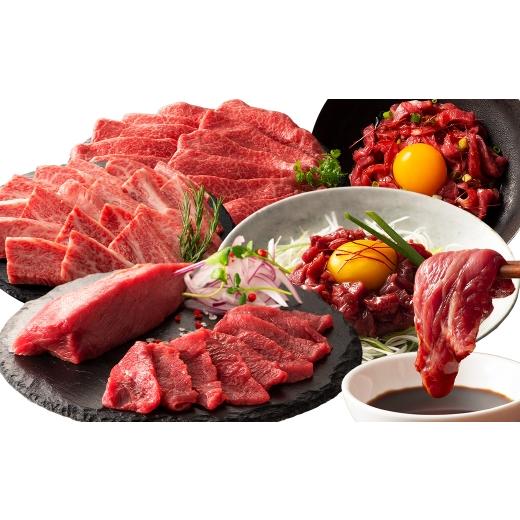 ふるさと納税 馬肉 熊本県 熊本市 R8年熊本地震復興支援 熊本特産馬刺しとくまもと黒毛和牛 藤彩牛 の贅沢食べ比べセット お肉 肉 ニク にく 牛肉 牛 馬肉 馬…