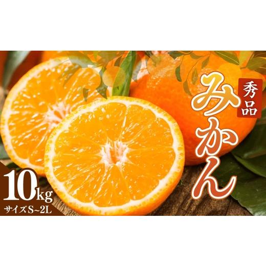 ふるさと納税 果物類 みかん 熊本県 熊本市 R8年熊本地震復興支援 みかん 秀品 約10kg ミカン 果物 くだもの フルーツ 果実 極早生みかん 柑橘類 柑橘系 柑橘…