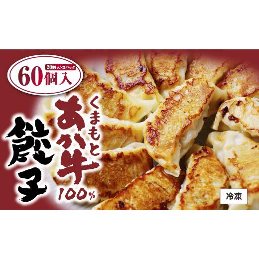 ふるさと納税 餃子 熊本県 熊本市 R8年熊本地震復興支援 熊本県産 GI認証取得 くまもとあか牛100%餃子 60個 ( 20個入 × 3パック ) 餃子 ギョーザ 冷凍食…