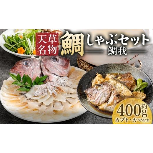 ふるさと納税 しゃぶしゃぶ 熊本県 熊本市 R8年熊本地震復興支援 天草名物鯛しゃぶセット ー鯛我ー しゃぶしゃぶ 真鯛 鯛 タイ たい マダイ 煮付け 出汁 出汁…