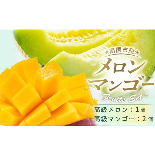 ふるさと納税 マンゴー 高知県 南国市 先行予約 高級マスクメロン・マンゴーセット | 2027年発送 マスクメロン 西島マンゴー フルーツ 果物 厳選 高級 青肉メ…