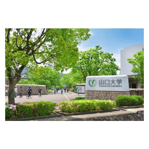 ふるさと納税 自治体にお任せ 山口県 山口市 K013 返礼品なし 山口大学支援事業(教育研究・人材育成・地域貢献活動への支援) | 山口県山口市 学生応援