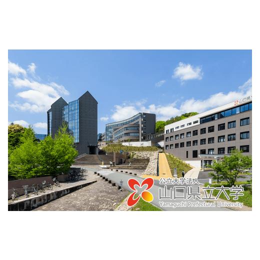 ふるさと納税 自治体にお任せ 山口県 山口市 K018 返礼品なし 山口県立大学支援事業(教育研究・人材育成・地域貢献活動への支援) | 山口県山口市 学生応援
