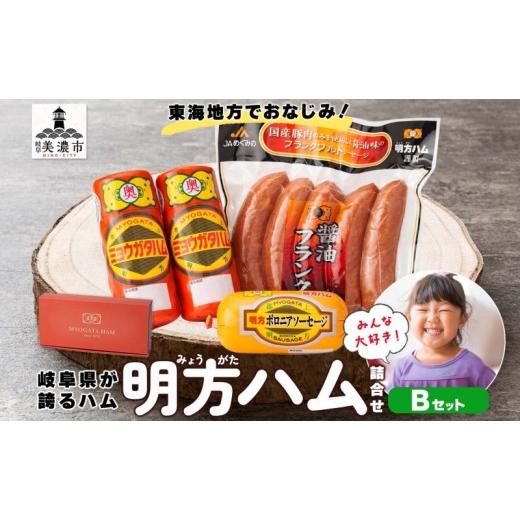 ふるさと納税 肉 ハム 岐阜県 美濃市 明方 ハム Bセット ボロニア ソーセージ フランクフルト JA ブランド 豚肉 お肉 国産 熟成 塩分 控えめ 豚腸 バーベキュ…