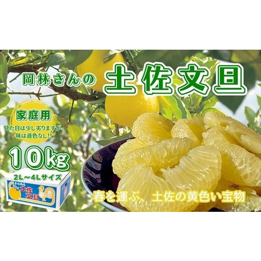ふるさと納税 みかん・柑橘類 高知県 いの町 香る さっぱり 岡林さんの土佐文旦 家庭用10kg