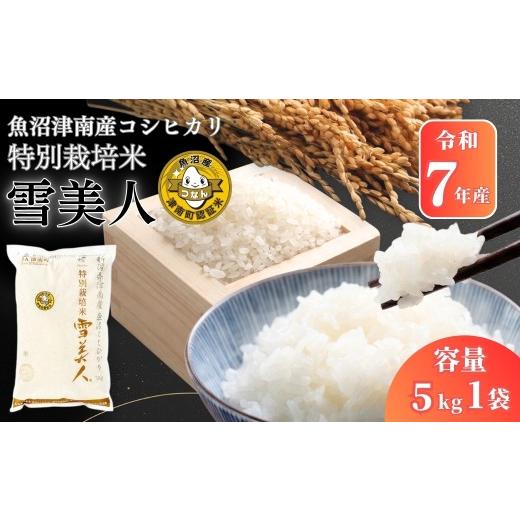 ふるさと納税 米 コシヒカリ 新潟県 津南町 コシヒカリ 令和7年産 5kg 魚沼産 コシヒカリ 雪美人 特別栽培米 | 米 こしひかり お米 新潟 魚沼 魚沼産コシヒカ…