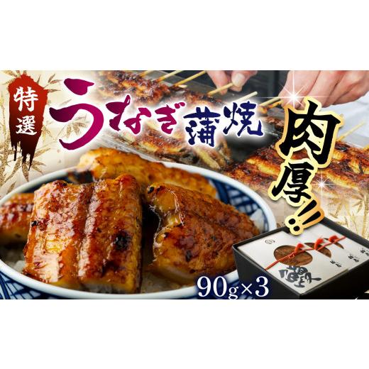 ふるさと納税 うなぎ 栃木県 那珂川町 特選 蒲焼うなぎ(短冊)肉厚うなぎを炭火焼 | ふるさと納税 特選 蒲焼うなぎ 短冊 肉厚うなぎ炭 高級蒲焼 国産うなぎ 肉…