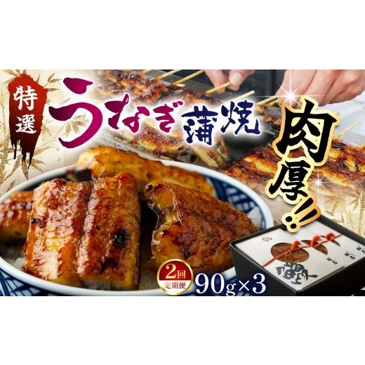 ふるさと納税 うなぎ 栃木県 那珂川町 定期2回 特選 蒲焼うなぎ(短冊)肉厚うなぎを炭火焼 | ふるさと納税 特選 蒲焼うなぎ 短冊 肉厚うなぎ炭 高級蒲焼 国産…
