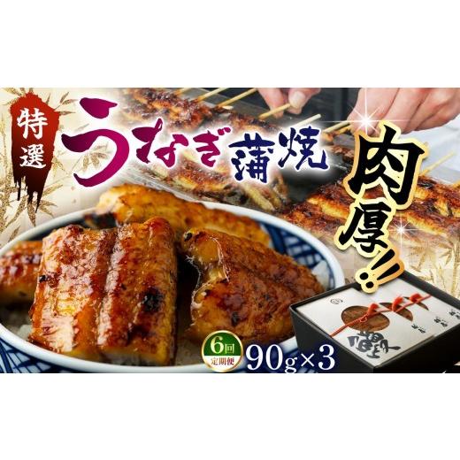 ふるさと納税 うなぎ 栃木県 那珂川町 偶数月定期6回 特選 蒲焼うなぎ(短冊)肉厚うなぎを炭火焼 | ふるさと納税 特選 蒲焼うなぎ 短冊 肉厚うなぎ炭 高級蒲焼…