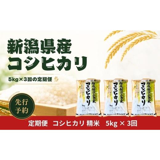 ふるさと納税 米 コシヒカリ 新潟県 三条市 先行予約 定期便 コシヒカリ5kg × 3回 新潟県産コシヒカリ 令和8年産 こしひかり 精米 コシヒカリ定期便 5キロ 3…