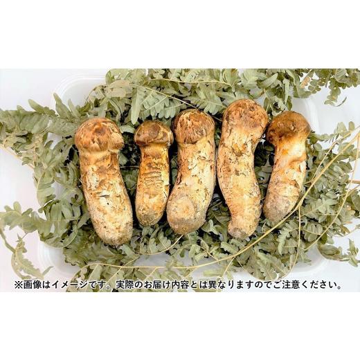 ふるさと納税 野菜類 きのこ 岩手県 久慈市 久慈産天然松茸「訳あり規格外品」100g 「訳あり規格外品」100g