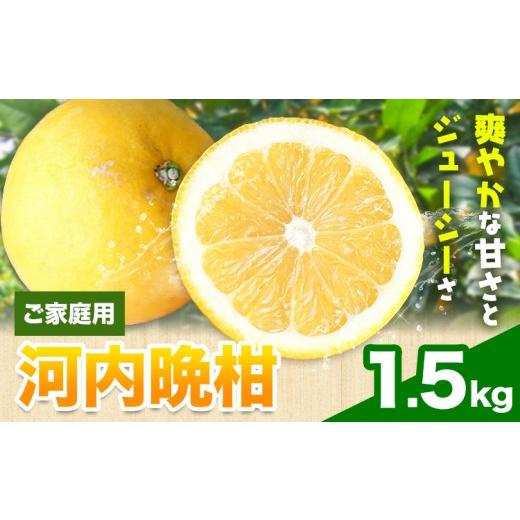 ふるさと納税 みかん・柑橘類 和歌山県 日高町 爽快柑橘 有田育ちの爽やか柑橘 ご家庭用 河内晩柑 1.5kg 有田マルシェ 先行予約[2027年4月上旬-5月下旬頃出荷…