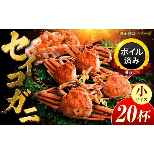 ふるさと納税 カニ ずわいガニ 福井県 小浜市 先行予約/11月7日より順次発送 セイコガニ 越前ガニメス( セイコガニ )小サイズ20杯 / 越前ガニ コッペガニ…