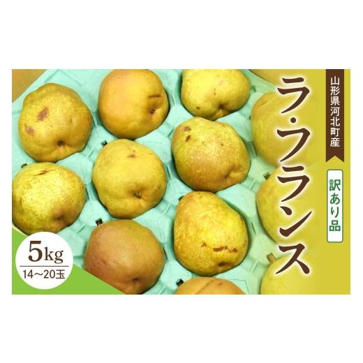 ふるさと納税 梨 山形県 河北町 訳あり令和8年産 洋梨 ラフランス 5kg 山形県河北町産 山形eLab (ふるさと納税 先行予約 先行受付 訳アリ ご家庭用 わけあり …