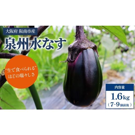 ふるさと納税 野菜類 茄子 大阪府 阪南市 産地直送 みずみずしい旬の味 朝採れ 泉州水なす 7〜9本| 茄子 水茄子 なす ナス ナスビ なすび 水なす 野菜 漬物 …