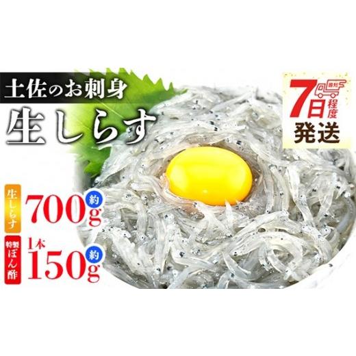 ふるさと納税 魚貝類 しらす 高知県 香南市 生しらす 10パック 小分けパック 特製タレ付 計700g 小分け 国産 早い 特選 料理 アレンジ しらす シラス 生シラ…