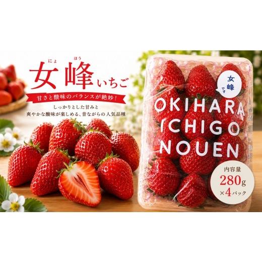 ふるさと納税 いちご 栃木県 那珂川町 先行予約 いちご 女峰 1,120g (280g×4P)|いちご 苺 ichigo 女峰 ミルキーベリー とちひめ とちあいか とちおとめ や…