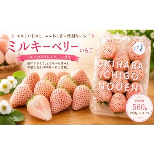 ふるさと納税 いちご 栃木県 那珂川町 先行予約 いちご ミルキーベリー 560g (280g×2P)|いちご 苺 ichigo 女峰 ミルキーベリー とちひめ とちあいか とちお…