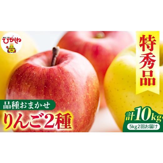 ふるさと納税 りんご 山形県 東根市 2回定期便 2026年産 リンゴ 5kg(品種おまかせ)×2回お届け 特秀品 山形県 東根市 ティスコファーム提供 hi089-004-r8 …