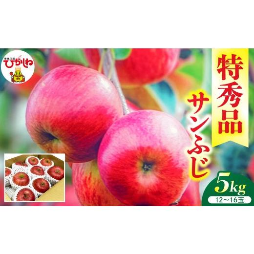 ふるさと納税 りんご 山形県 東根市 2026年産 リンゴ サンふじ 5kg(12〜16玉) 特秀品 山形県 東根市 ティスコファーム提供 hi089-005-r8 果物 フルーツ く…