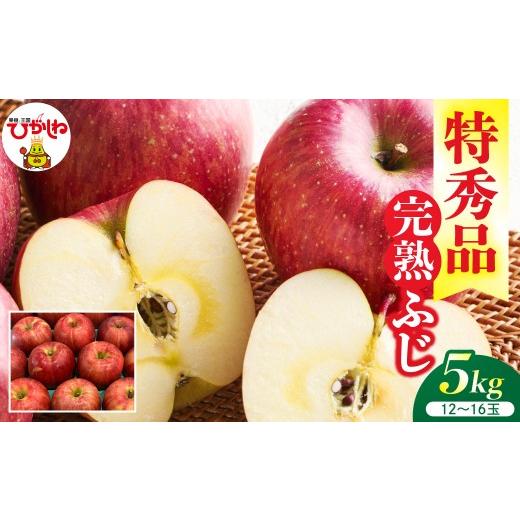 ふるさと納税 りんご 山形県 東根市 2026年産 リンゴ 完熟ふじ 5kg(12〜16玉) 特秀品 山形県 東根市 ティスコファーム提供 hi089-006-r8 果物 フルーツ く…