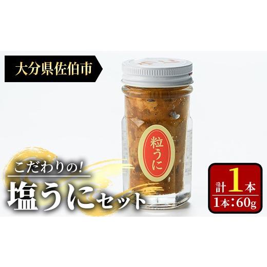 ふるさと納税 ウニ 大分県 佐伯市 こだわりの塩うにセット(60g×1本)うに ウニ 雲丹 塩うに 冷凍 海の直売所 大分県 佐伯市 AS163 海べ 計1本