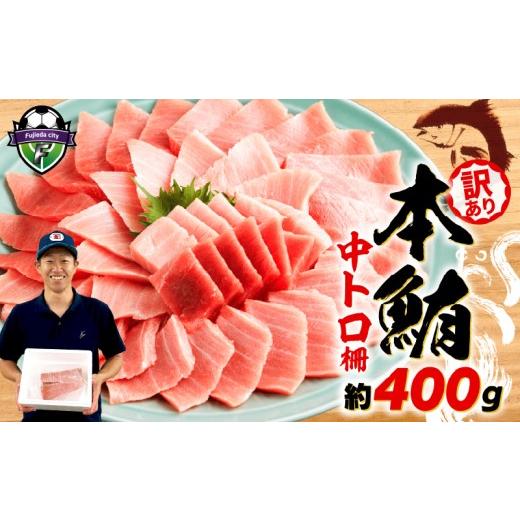ふるさと納税 旬の鮮魚等 静岡県 藤枝市 敬老の日 9月17日〜21日にお届け 訳あり 本マグロ 中とろ 刺身用 約400g 不定型柵 マグロ トロ 鮪 海鮮 晩酌 冷凍 刺…