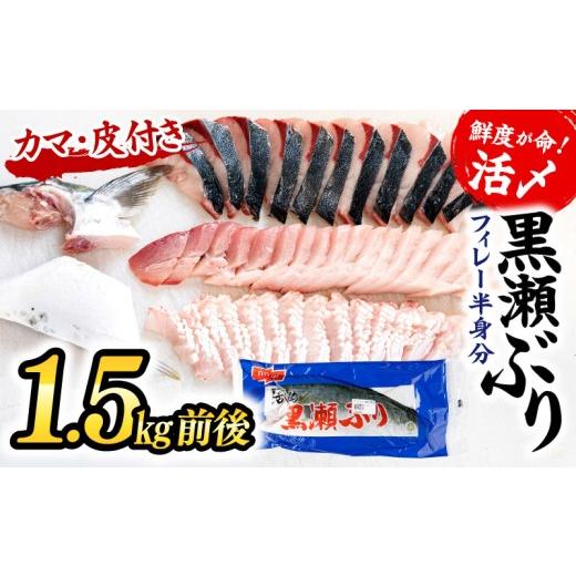 ふるさと納税 旬の鮮魚等 宮崎県 串間市 <翌月末までに発送予定 高評価 活じめ 黒瀬ぶりの生鮮ブリフィレー (1.5kg前後) 冷蔵 しゃぶしゃぶ たたき 海鮮…
