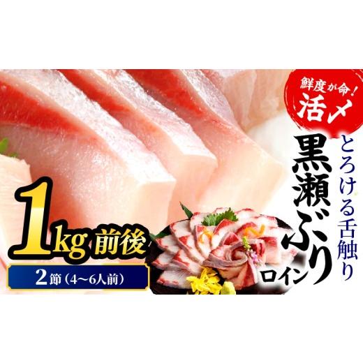 ふるさと納税 旬の鮮魚等 宮崎県 串間市 翌月末までに発送予定 活じめ 黒瀬ぶりの生鮮ブリロイン2節(1.0kg前後) 刺身 海鮮 海産物 魚 水産物 海鮮丼 ぶりし…