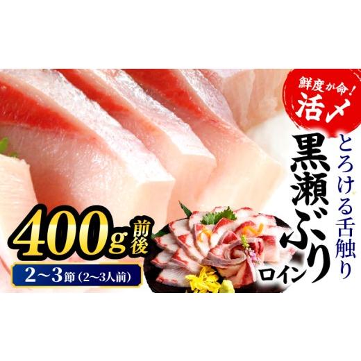 ふるさと納税 旬の鮮魚等 宮崎県 串間市 翌月末までに発送予定 活じめ 黒瀬ぶりの生鮮ブリロイン2節〜3節(400g前後) 刺身 海鮮 海産物 魚 水産物 海鮮丼 ぶ…