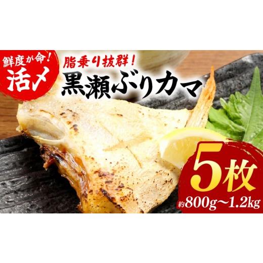 ふるさと納税 旬の鮮魚等 宮崎県 串間市 <翌月末までに発送予定>活じめ 黒瀬ぶりカマ(5枚入)(800g〜1.2kg前後) ぶり カマ ぶりかま 国産 おすすめ …