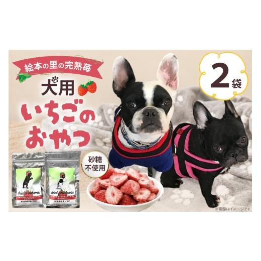 ふるさと納税 雑貨・日用品 北海道 剣淵町 ペットフード 犬用のいちごのおやつ ドライ苺 15g 2袋 アグリプロダクト笠井 北海道 剣淵町 14656420 ドックフード …