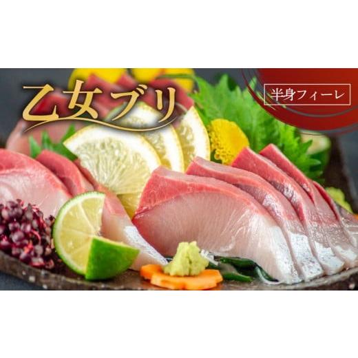 ふるさと納税 しゃぶしゃぶ 高知県 須崎市 早期受付 乙女 ブリ 約 900g フィーレ ブランド 鰤 ブリ 産地直送 新鮮 冷蔵 ブランド 鰤 ぶり しゃぶ 切り身 刺身…