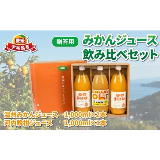 ふるさと納税 果汁飲料 みかん 愛媛県 宇和島市 贈答用 みかんジュース 飲み比べ セット 1,000ml × 3本 協徳ガーデン 温州みかん 河内晩柑 100%ジュース ス…