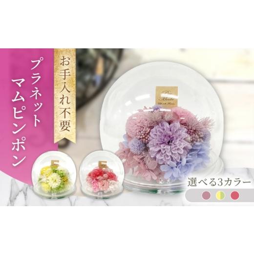 ふるさと納税 雑貨・日用品 花 長崎県 大村市 パープル プラネットマムピンポン プリザーブドフラワー アレンジメント お花ギフト / 大村市 サニーサイドフ…