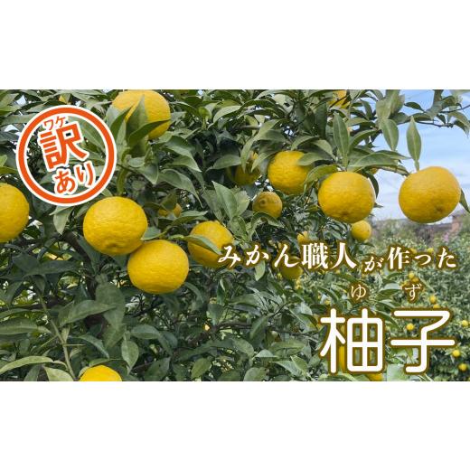 ふるさと納税 みかん・柑橘類 ゆず 愛媛県 愛南町 先行予約 訳あり みかん職人の柚子(ゆず)3kg ユズ ゆず 柚子 柑橘 フルーツ かんきつ みかん 訳あり 家庭…