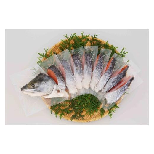 ふるさと納税 魚貝類 鮭 北海道 白糠町 大手百貨店も扱う 新巻鮭姿切身 個包装 700g オス 鮭 さけ シャケ しゃけ sake サーモン 人気 高級 大満足 美味しい 贈…