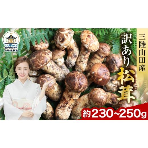 ふるさと納税 野菜類 きのこ 岩手県 山田町 2026年先行予約 9月中旬〜11月下旬発送予定 三陸山田産 訳あり 天然 松茸 国産 約230〜250g 三陸山田 山田町 まつ…