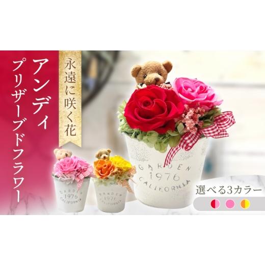 ふるさと納税 雑貨・日用品 花 長崎県 大村市 オレンジ×イエロー アンディ プリザーブドフラワー アレンジメント お花ギフト / 大村市 サニーサイドファク…