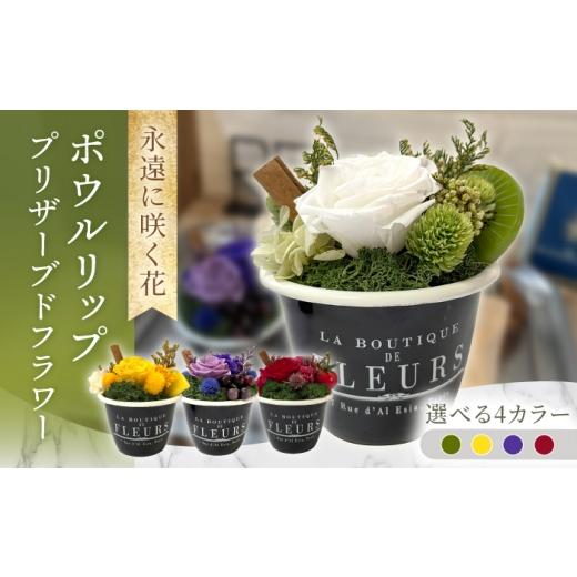 ふるさと納税 雑貨・日用品 花 長崎県 大村市 グレープパープル ポウルリップ プリザーブドフラワー アレンジメント お花ギフト / 大村市 サニーサイドファ…
