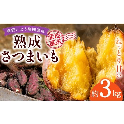 ふるさと納税 野菜類 サツマイモ 神奈川県 秦野市 産地直送 ねっとり甘い 熟成さつまいも 約3kg(10月〜1月発送)|季節限定 旬 農園 直送 生果実 冷蔵 完熟 …