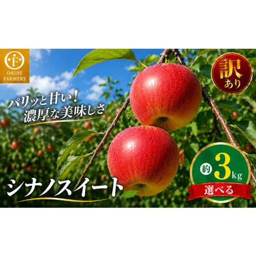 ふるさと納税 りんご 長野県 小布施町 訳あり シナノスイート(家庭用)約3kg[おぶせファーマーズ] 不揃い 規格外 家庭用 果物 フルーツ りんご 林檎 リンゴ…