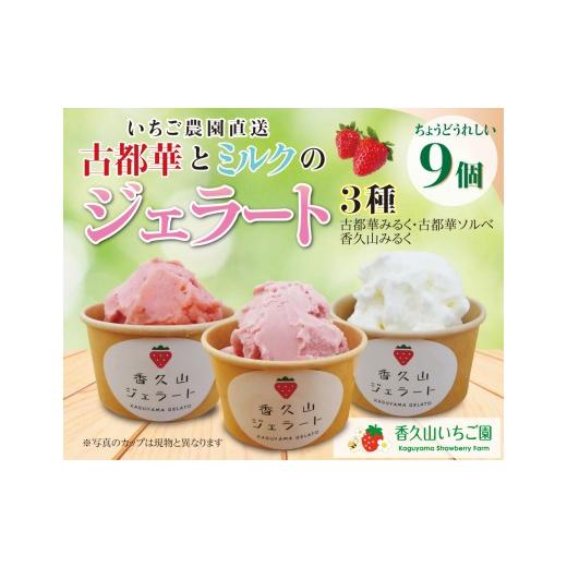 ふるさと納税 アイス・ヨーグルト ジェラート 奈良県 橿原市 農園仕込みの贅沢ジェラート。奈良ブランドいちご「古都華」ジェラート9個セット(古都華みるく・…