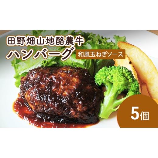 ふるさと納税 牛肉 ハンバーグ 岩手県 盛岡市 田野畑山地酪農牛ハンバーグ 和風玉ねぎソース 5個 牛肉 肉 牛 惣菜 おかず お弁当 冷凍 小分け 個包装 湯煎 温…