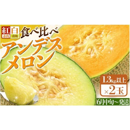 ふるさと納税 メロン メロン赤肉 福井県 あわら市 先行予約 紅白アンデスメロン 青肉・赤肉 食べ比べセット 4L(1玉1.3kg以上)×2玉 / 果物 フルーツ 産地…