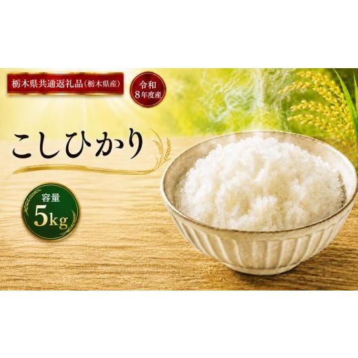 ふるさと納税 米 コシヒカリ 栃木県 真岡市 令和8年度産 こしひかり 5kg |ごはん 栃木県産 栃木県 真岡市 ふるさと納税 栃木県共通返礼品 栃木県産 こしひか…