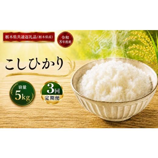 ふるさと納税 米 コシヒカリ 栃木県 真岡市 令和8年度産 定期便3回 こしひかり 5kg | ごはん 栃木県産 栃木県 真岡市 ふるさと納税 栃木県共通返礼品 栃木県…